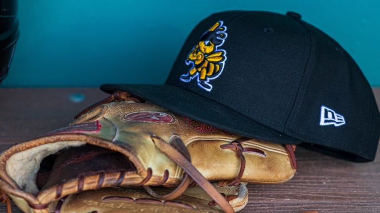 Salt Lake Bees: Aviators Series Part&nbsp;Two