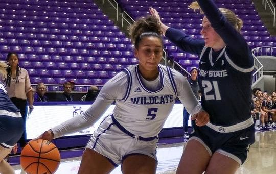 Weber State vs Idaho State Women’s&nbsp;Preview