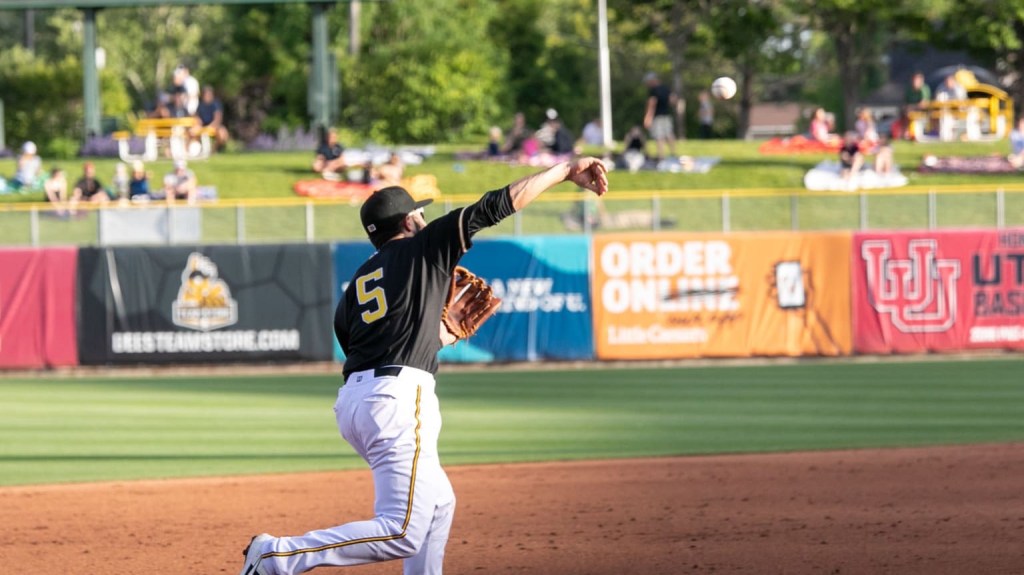 Salt Lake Bees: Round Rock Express Series&nbsp;Recap
