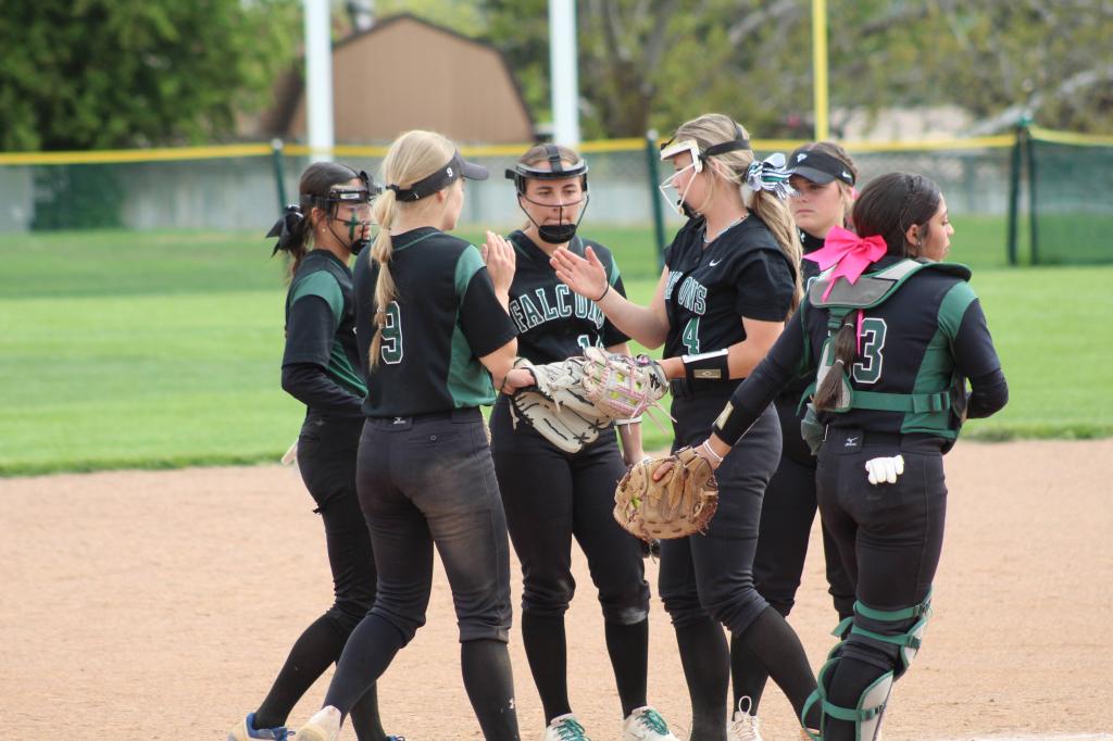 Softball preview: Clearfield&nbsp;Falcons