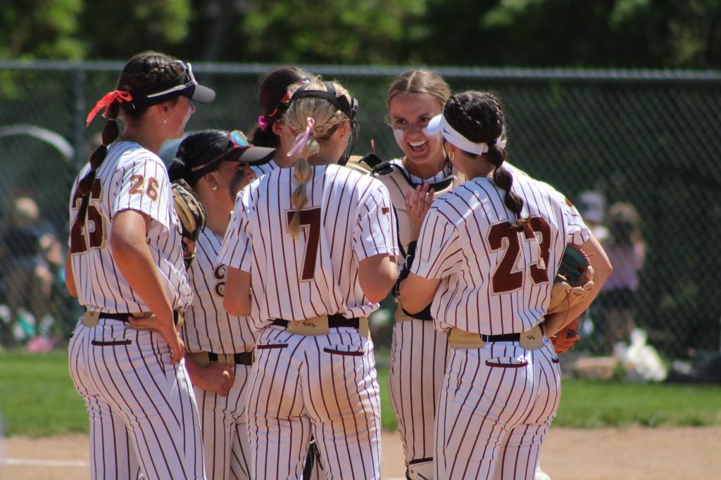 Softball preview: Davis&nbsp;Darts