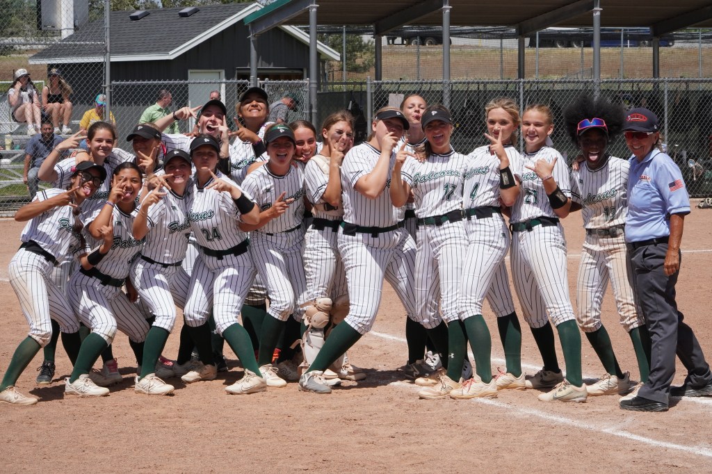 Softball: Clearfield Falcons are in the super regionals with series win over Woods&nbsp;Cross
